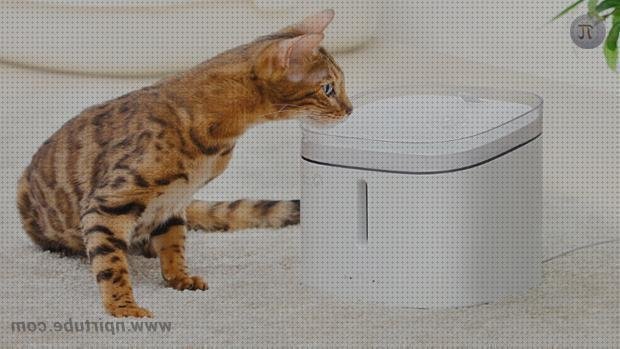 Mejores 19 bebederos gatos xiaomi bajo análisis