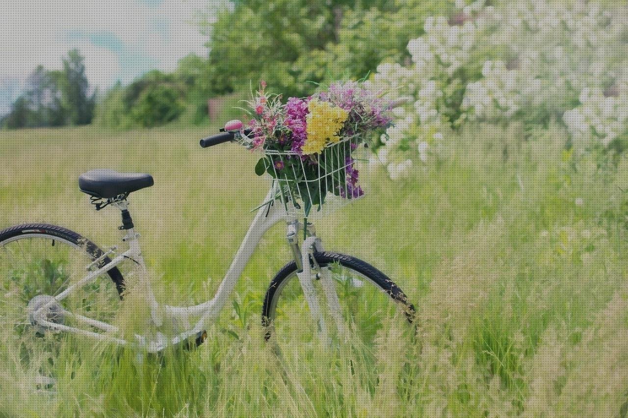 Análisis de las 21 mejores Bicicletas Electricas Xiaomi Himo T1
