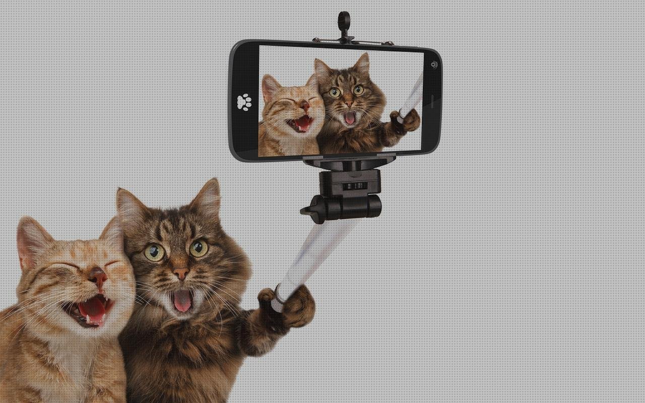 ¿Dónde poder comprar palo xiaomi xiaomi selfie 16 mp xiaomi 16 palo selfie xiaomi estabilizador?