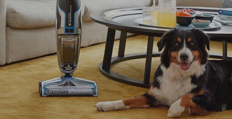 Las mejores vacuum xiaomi vacuum 2 pelos perro