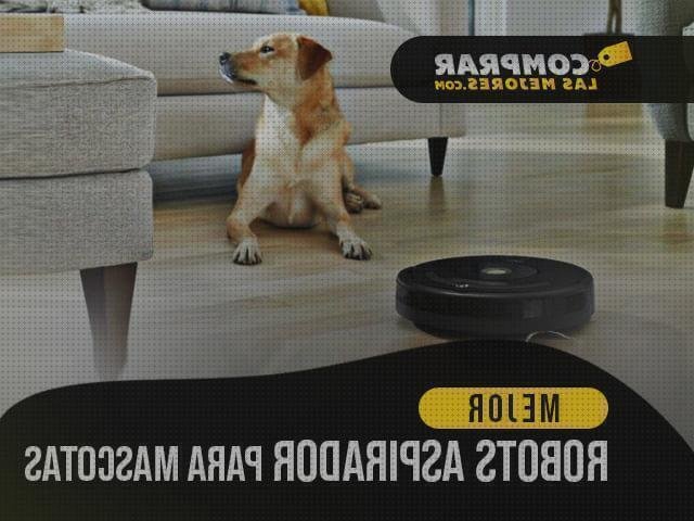 Los mejores 21 Xiaomi Vacuum 2 Pelos Para Perros